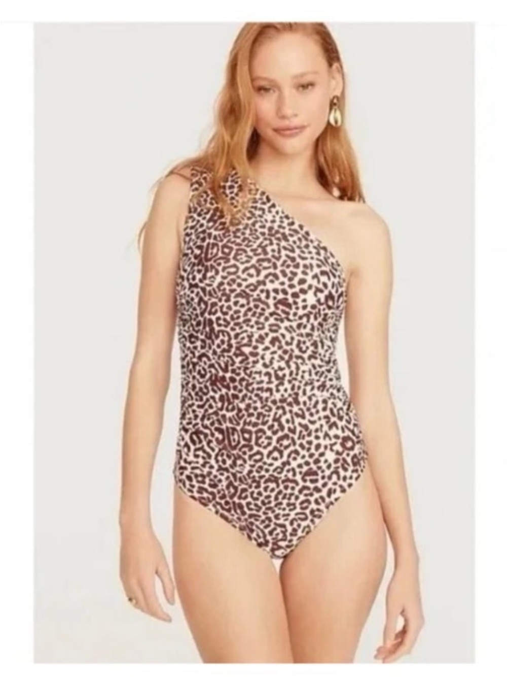 J. Crew One-Shoulder Leopard Print One-Piece Swimsuit - Pink & Brown